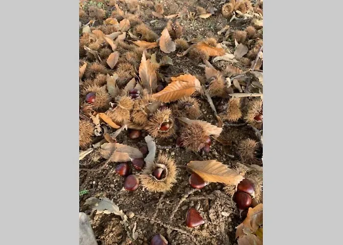 Séjour à la campagne Formas Patuscas,